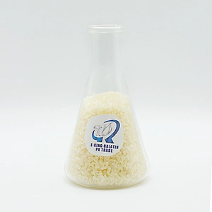 9000-70-8 Bovine skin gelatin with HALAL certifications for meat